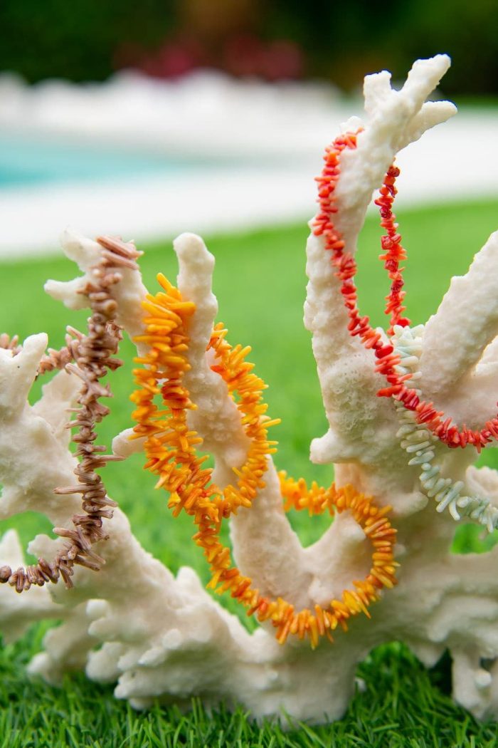 Collar Coral