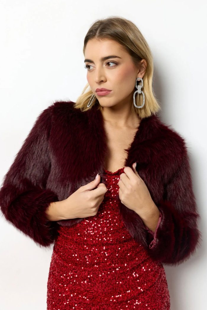Short Round Neck Jacket Wine